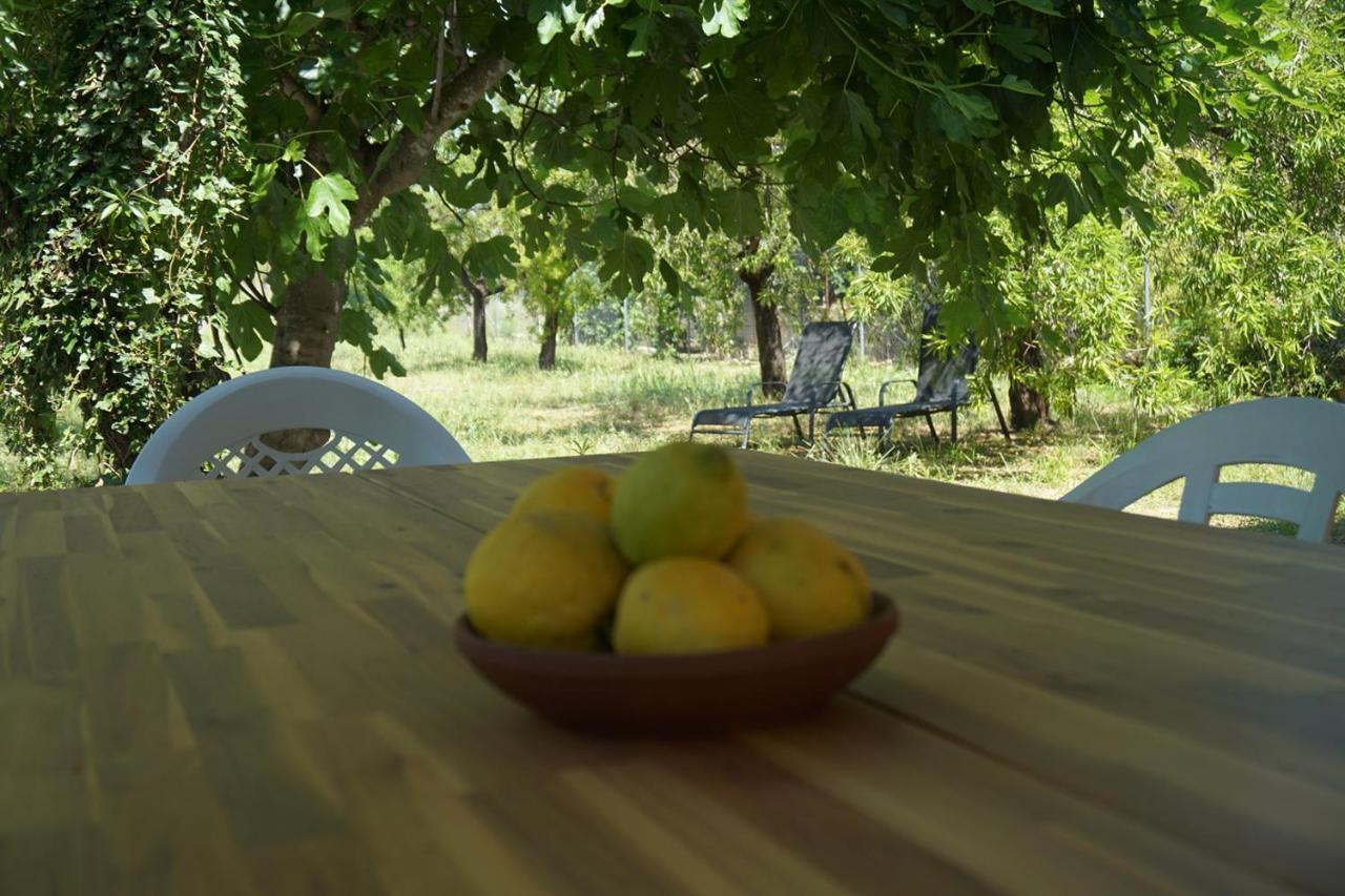 Casa El Regall Cálig Zewnętrze zdjęcie